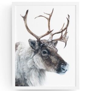 Watercolor Reindeer Portrait Wall Art Print - Deer Poster, Unframed - Winter
